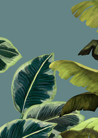 Echantillon Papier peint panoramique Amazonia Céladon