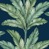 Papier peint feuillage – Feuille de bananier