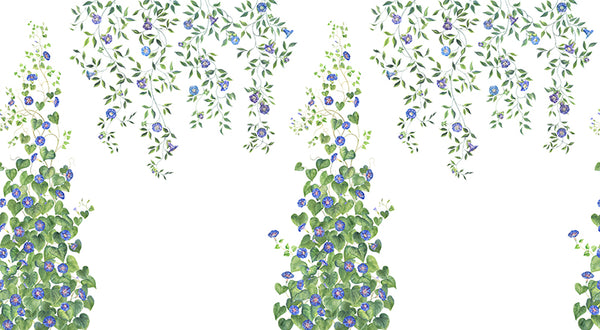 Papier peint fleurs "Les ipomées"