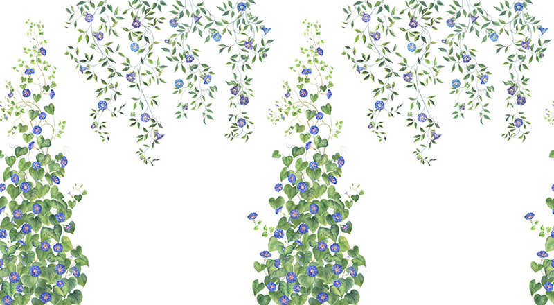 Papier peint fleurs "Les ipomées"