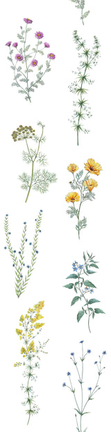 Papier peint fleurs "L'herbier"