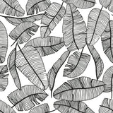 Papier Peint Feuillage noir et blanc
