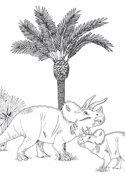 Echantillon Papier Peint Monochrome Dinosaures