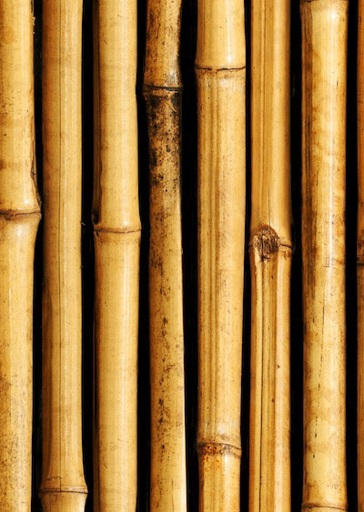 Echantillon Papier peint Bambou Deboo