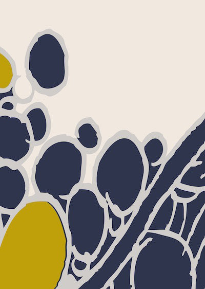 Echantillon Aller voir la mer bleur sur beige