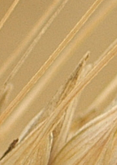 Echantillon papier peint épi de blé