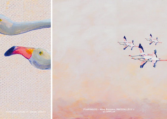 Echantillon Flamingo