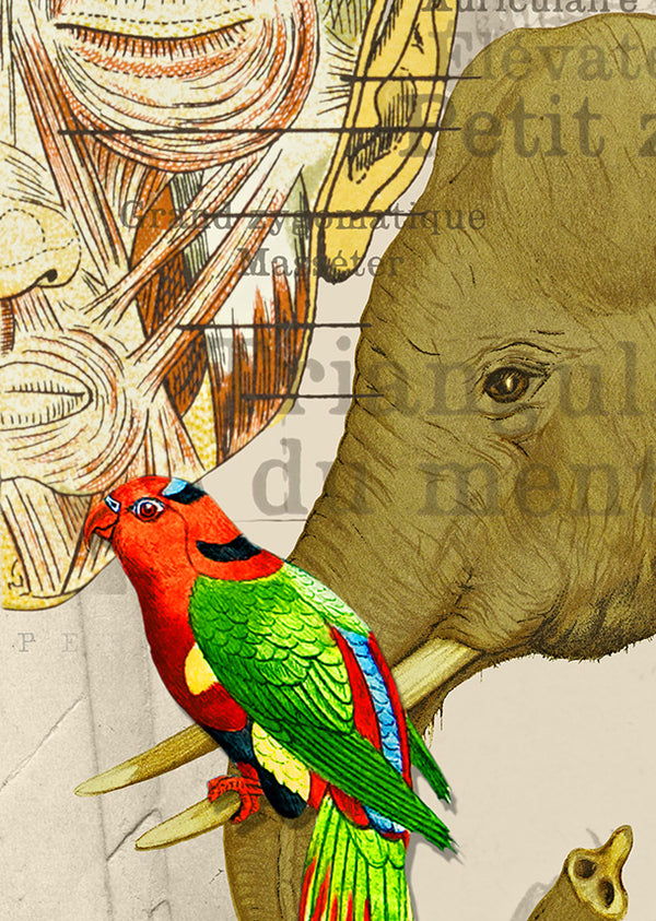 Echantillon papier peint Patchwork deyrolle beige