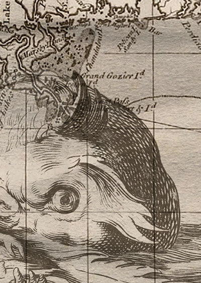 Echantillon papier peint Vieille carte