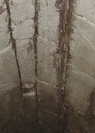 Echantillon papier peint descente de cave