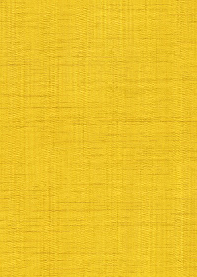 Echantillon Papier peint Soie Sauvage