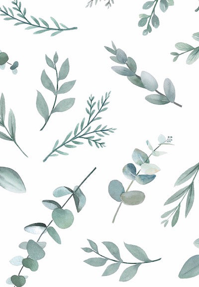 Echantillon Papier Peint Feuillages vert
