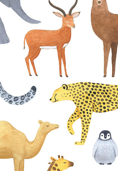 Echantillon Papier peint animaux - Animalia