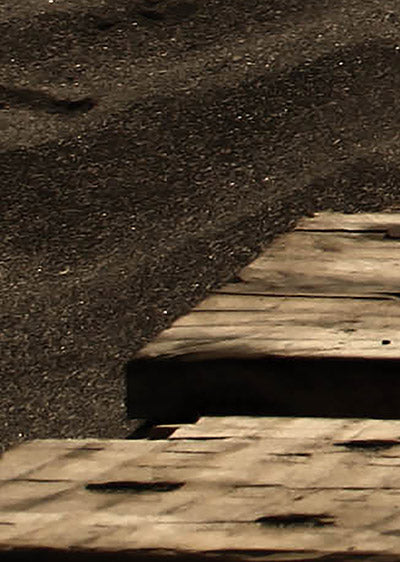 Echantillon papier peint le chemin