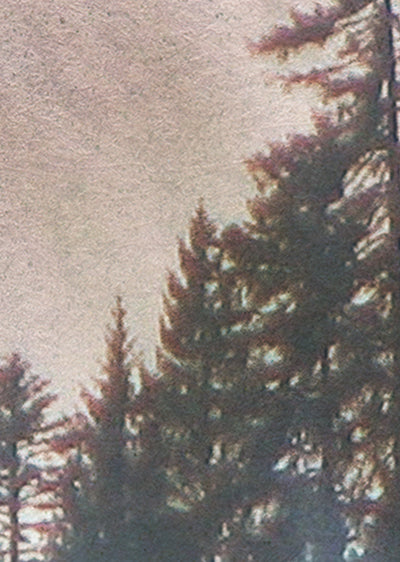 Echantillon papier peint panoramique paysage brume