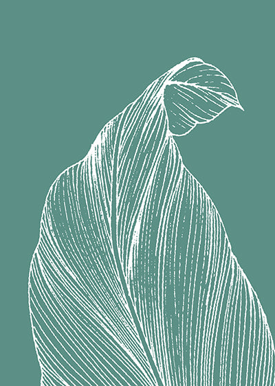 Echantillon Papier peint jungle tropicale Chalky