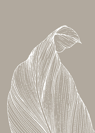 Echantillon Papier peint jungle tropicale Chalky taupe