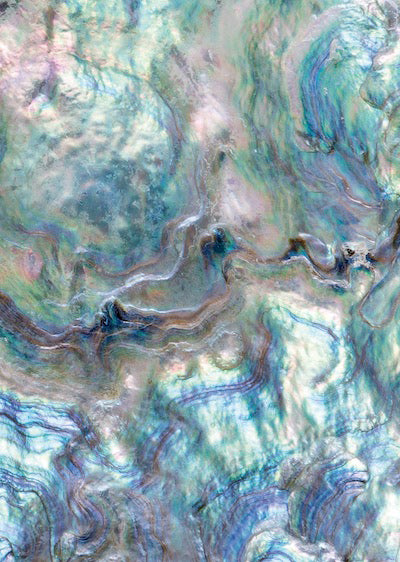 Echantillon Papier peint Nacre