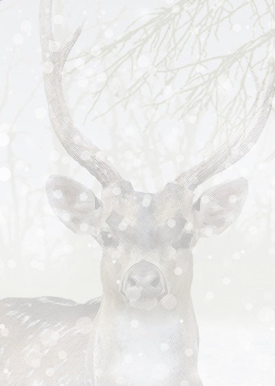 Echantillon Papier peint Nuit Blanche