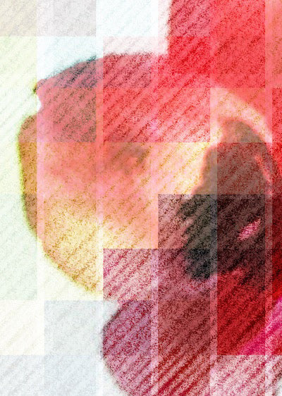 Echantillon Papier peint Pix Floxers