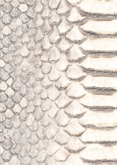 Echantillon Papier peint cuir Python