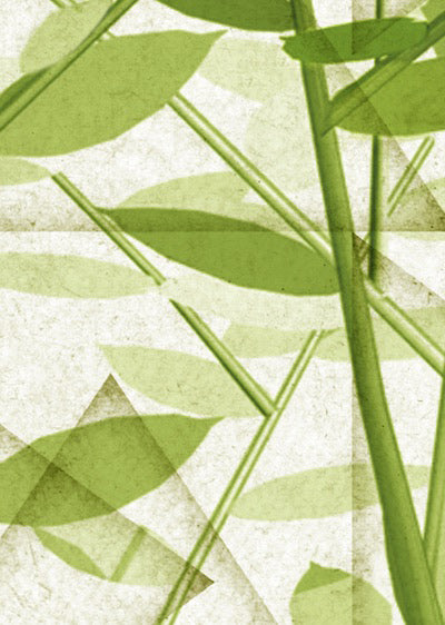 Echantillon Papier peint Tree zen