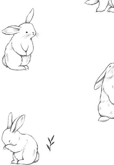 Echantillon Papier Peint Bébé Petits Lapins