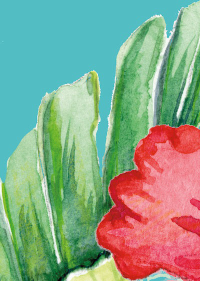 Echantillon Complément Perroquet