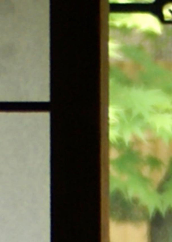 Echantillon papier peint Japonais Chinese shade