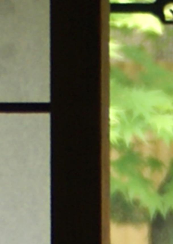 Echantillon papier peint Japonais Chinese shade