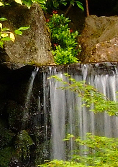 Echantillon papier peint jardin et chute d'eau