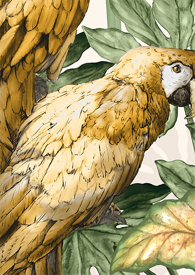 Echantillon papier peint perroquet - Jungle Parrots Golden