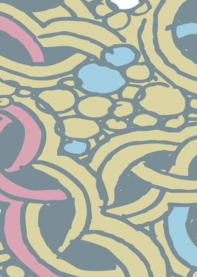 Echantillon Prendre de la hauteur anis