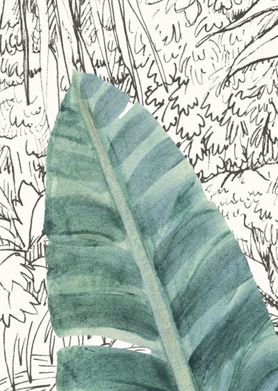 Echantillon Papier peint Rêve de jungle