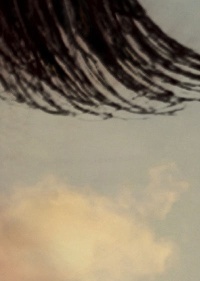 Echantillon Papier peint Elles et Lisa