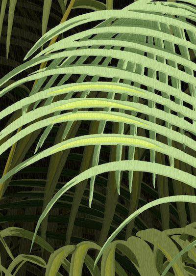 Echantillon Papier peint Palms Valley