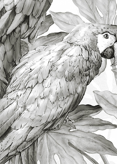 Echantillon papier peint perroquet - Jungle Parrots Grisaille