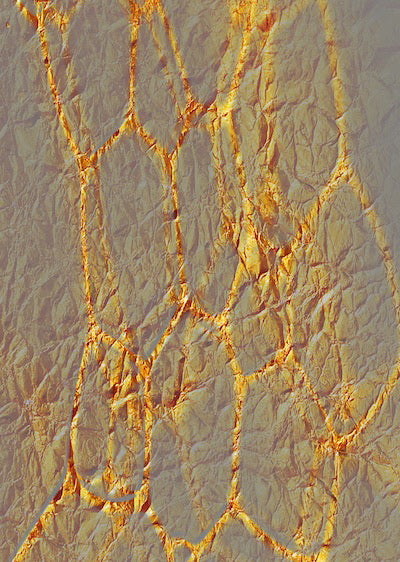 Echantillon Papier peint Papergold