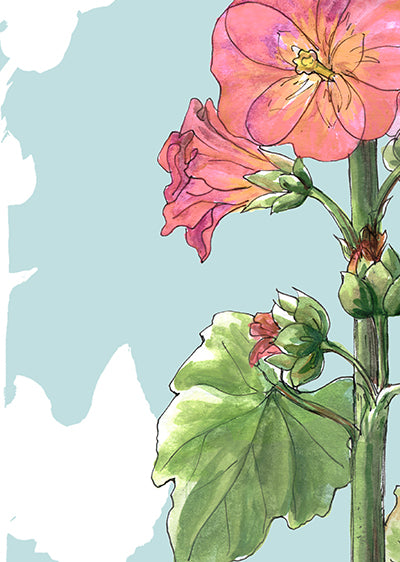 Echantillon papier peint fleurs "Les roses trémières"