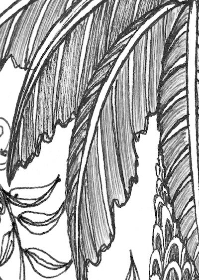 Echantillon Papier Peint JUNGLE Black & White