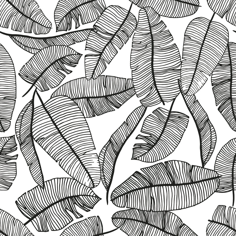 Papier peint - motif feuillage tropical Serengeti