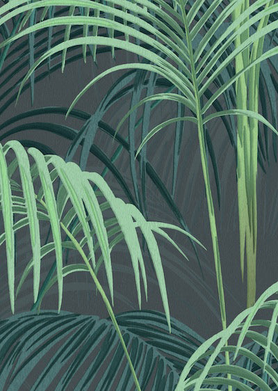 Echantillon Papier peint Tropical Jungle
