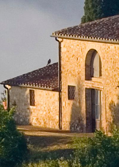 Echantillon papier peint colline Toscane