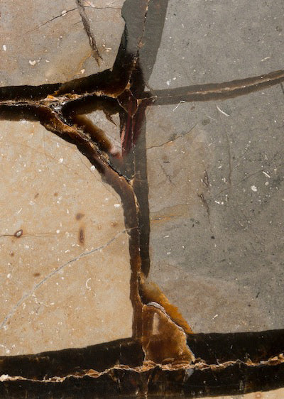 Echantillon Papier peint Septeria