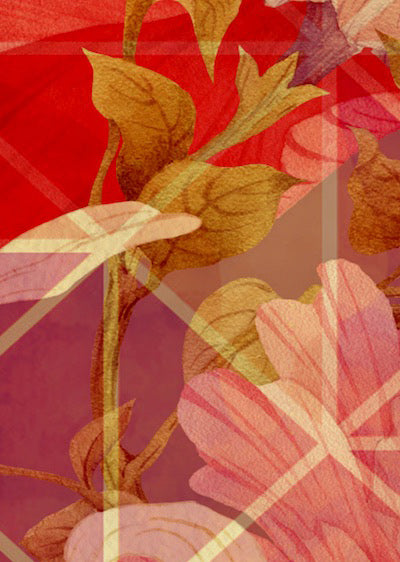 Echantillon Papier peint Aloe