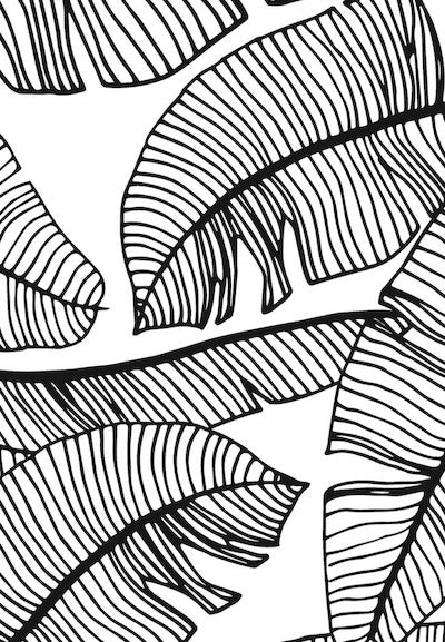 Echantillon Papier Peint Feuillage noir et blanc