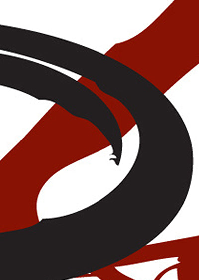 Echantillon papier peint ados sport BMX