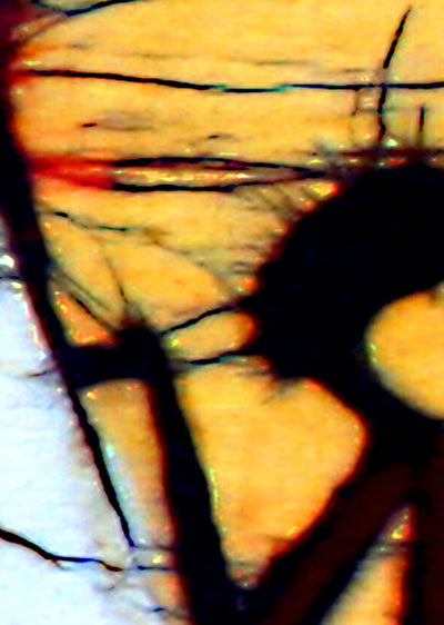 Echantillon papier peint bateau voile