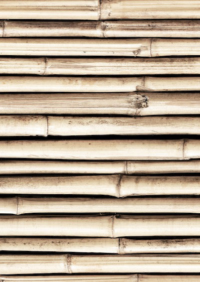 Echantillon Papier peint Bambou Horizon Naturel