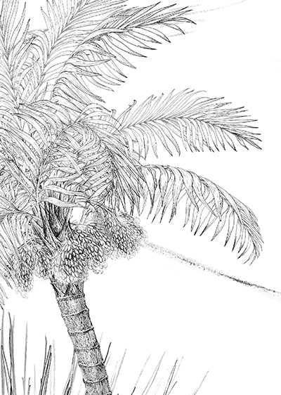 Echantillon papier peint jungle PALMERAIS